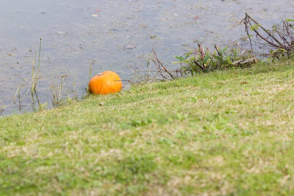 Oranžové dýně na halloween party — Stock fotografie