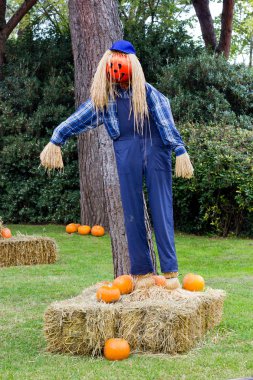 Canavarlar Cadılar Bayramı partisi için