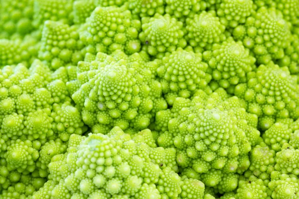 Broccolo romanesco with white background — Stock Photo, Image