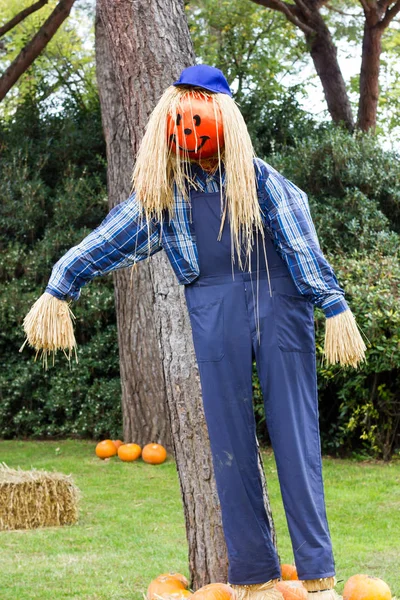 Canavarlar Cadılar Bayramı partisi için