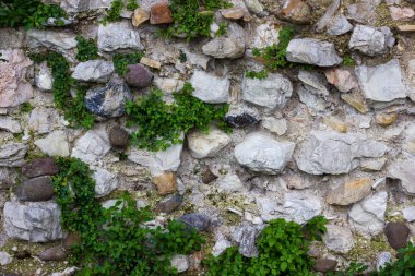 Duvar dokuları görüntülemek