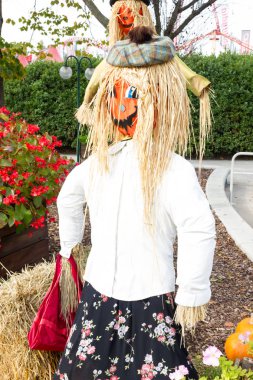 Canavarlar Cadılar Bayramı partisi için