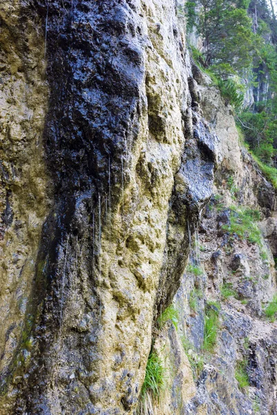 Вода из озера Брайс — стоковое фото