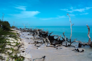 Küba plajlar görünümü