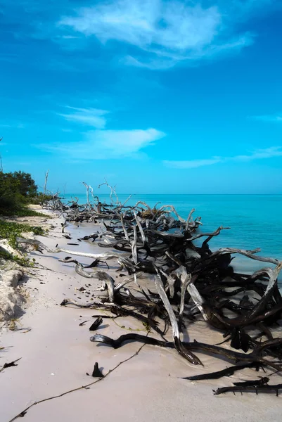 Küba plajlar görünümü