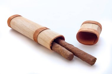 Küba purosu görünümü