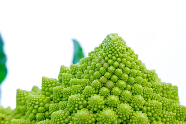 Broccolo romanesco with white background — Stock Photo, Image