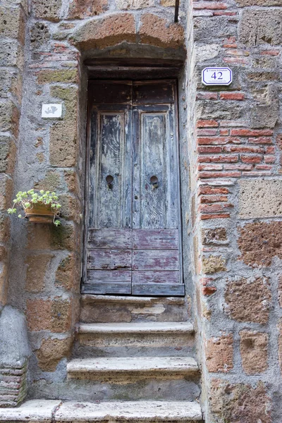 Old Doors view — Stock Photo, Image