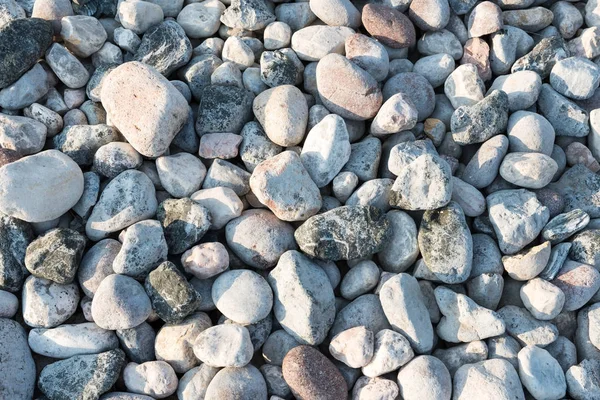 Texture of river stones