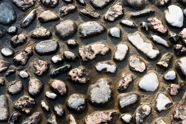 Texture of river stones — Stock Photo, Image