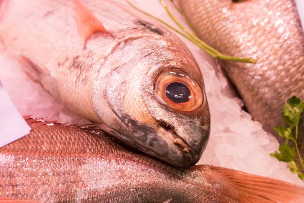 Del mercado del pescado de mar — Foto de Stock