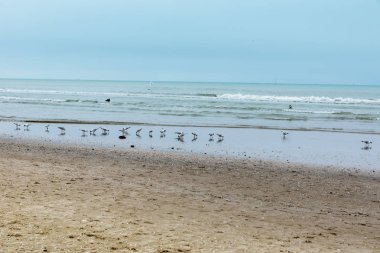 Rimini plaj kışın