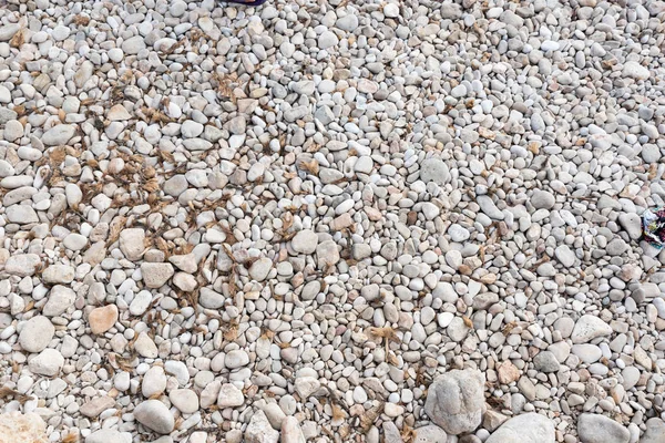 Ακτή με πέτρες — Φωτογραφία Αρχείου