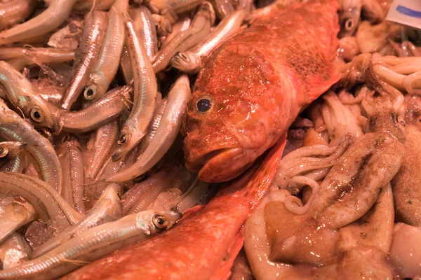 Del mercado del pescado de mar — Foto de Stock