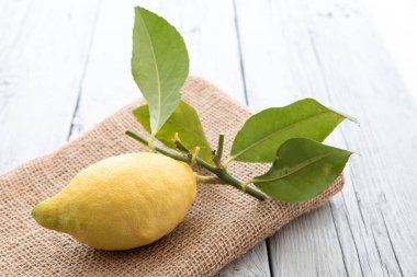 Sicilya limon yaprakları ile