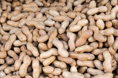 Tost fıstık yığını