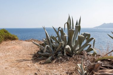 Sicilya kıyıları İtalya