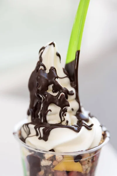 Yoghurt en chocolade ijs — Stockfoto