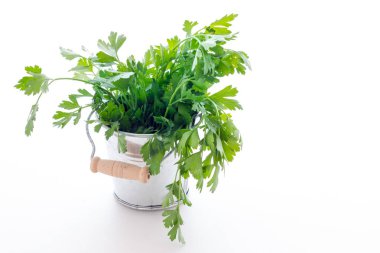 Maydanoz biyolojik bırakır