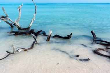 Küba plajlar görünümü