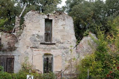 Ormanda eski yıkık ev