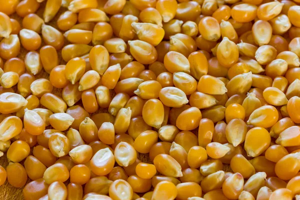 Corn for popcorn — Stock Photo, Image