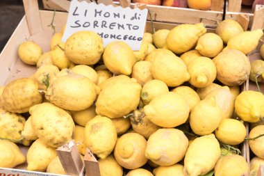 Limoni di Sorrento Napoli İtalya