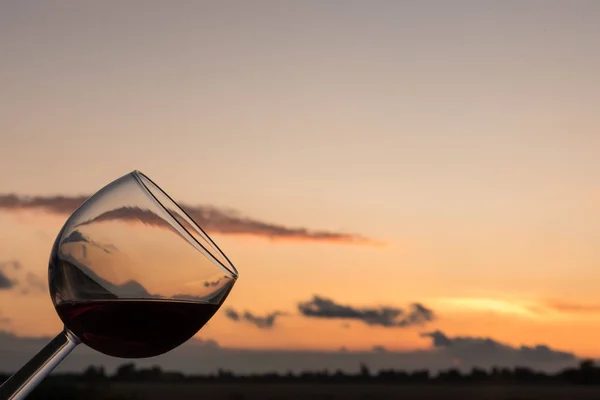 Vino al tramonto — Foto Stock