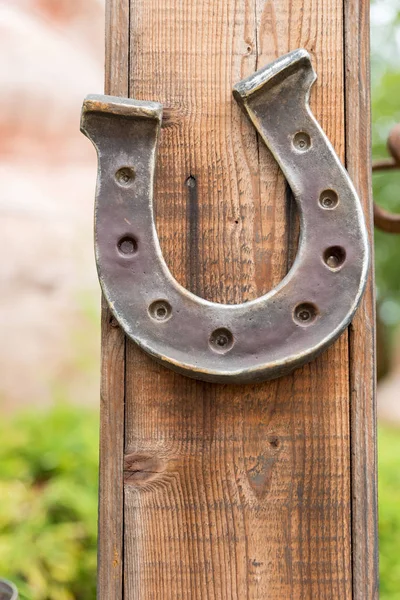 Horseshoe lucky horse — Stock Photo, Image