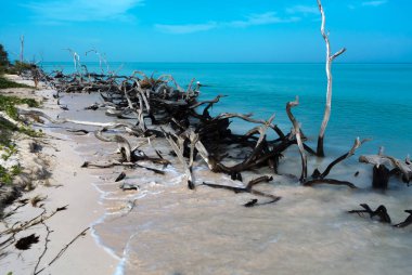 Küba plajlar görünümü