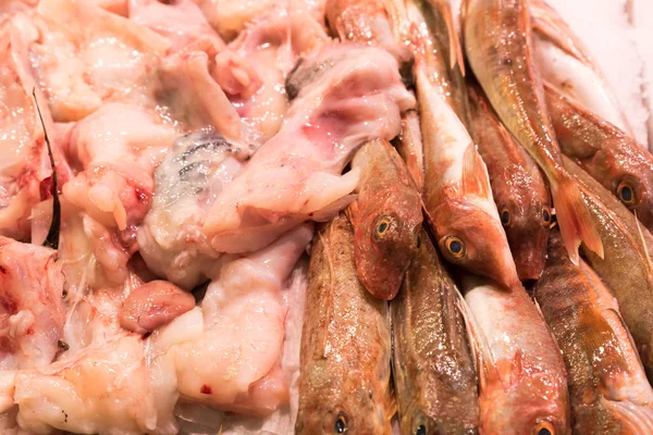 Del mercado del pescado de mar — Foto de Stock
