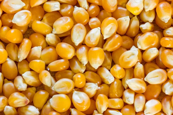 Corn Popcorn Texture — Stock Photo, Image