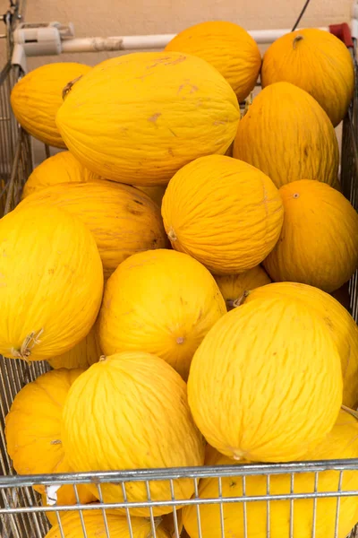 Gelbe Melonen auf dem Markt — Stockfoto