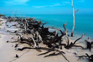 Küba plajlar panorama