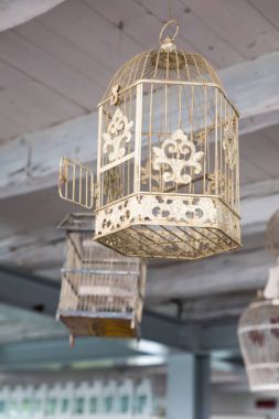 Kapıyı açık ile boş kuş kafesi