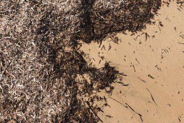 Plaj dokular üzerinde kum