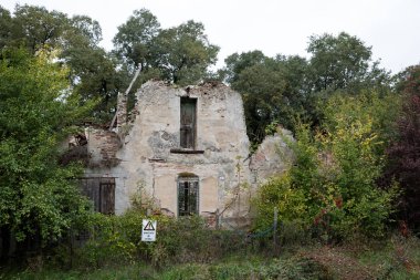 Ormanda eski yıkık ev