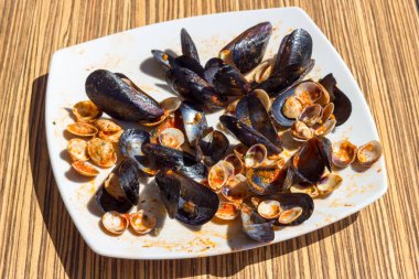 Boş midye ve istiridye