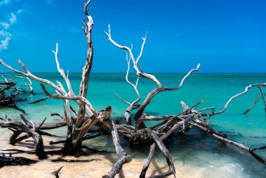 Küba plajlar panorama 