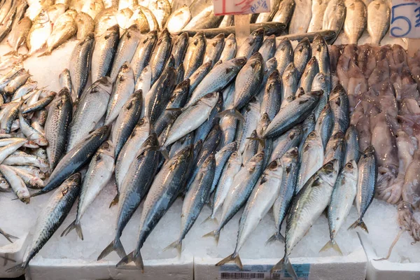 Pescado fresco en el mercado de Nápoles — Foto de Stock