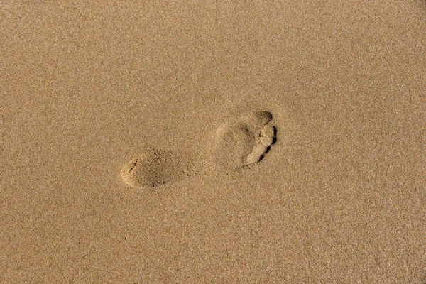 Footprints na brzegu morza — Zdjęcie stockowe