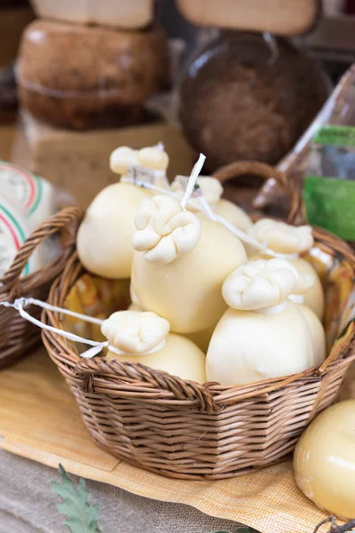 Mjuk ost caciotta Italien — Stockfoto