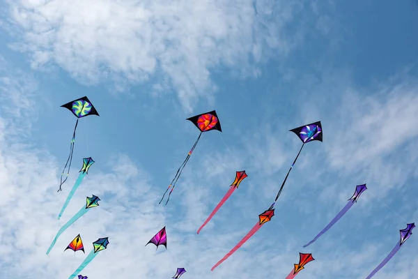 Pipas com céu azul e nuvens brancas — Fotografia de Stock