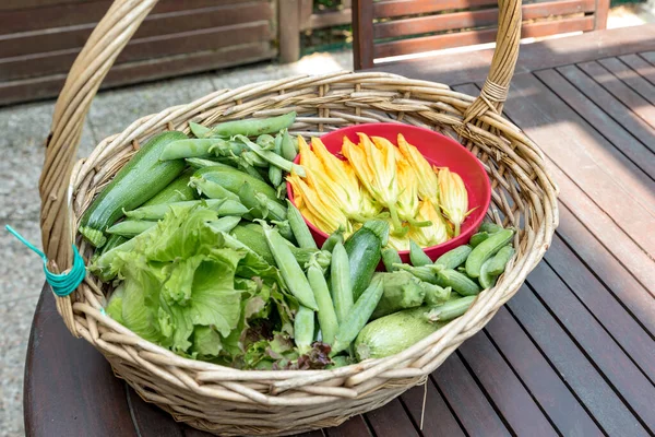 Basket with seasonal vegetables — Stock Photo, Image