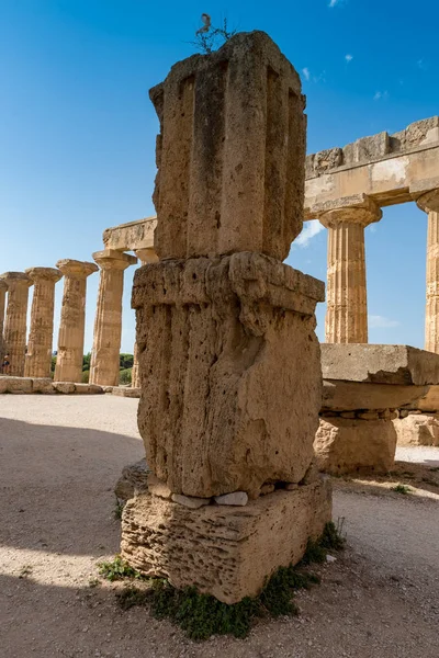 Templo de Selinunte en Sicilia —  Fotos de Stock