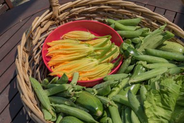 Mevsim sebzeleri ile sepeti