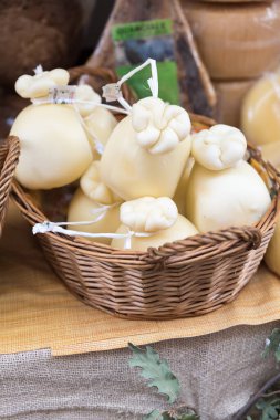 Yumuşak peynir caciotta Italya