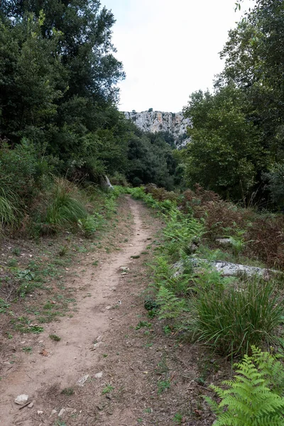 Camino en las colinas sicilianas — Foto de Stock