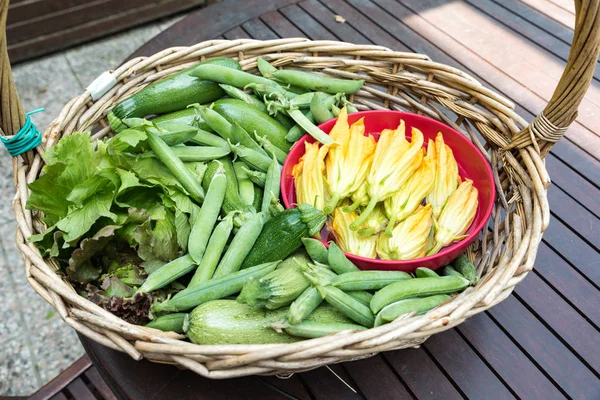 Panier avec légumes de saison — Photo