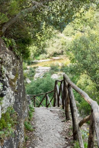 Chemin sur les collines siciliennes — Photo